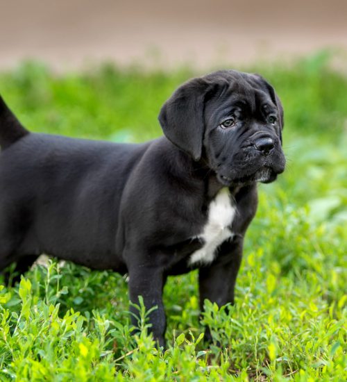 wallpaperflare.com_wallpaper (1)